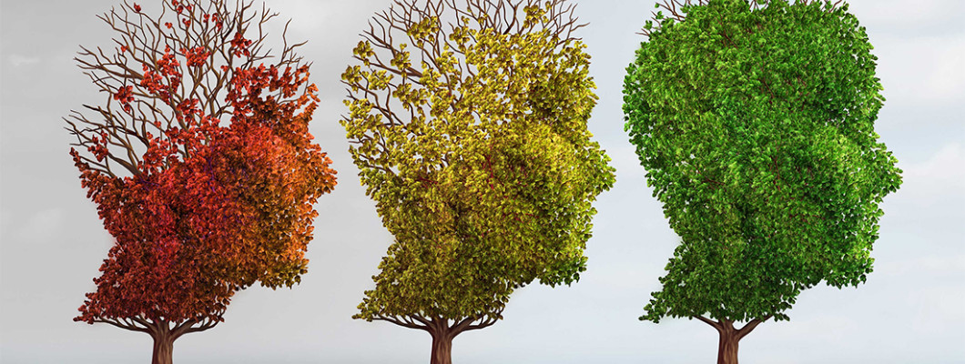 ASTAXANTHIN BENEFITS HELPS PREVENT ALZHEIMER’S